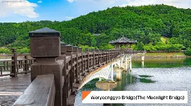 資訊圖片