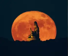 資訊圖片