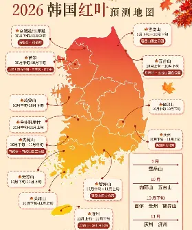 資訊圖片