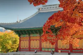 資訊圖片