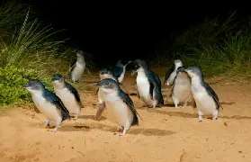 資訊圖片