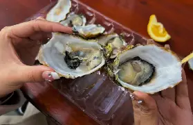 資訊圖片