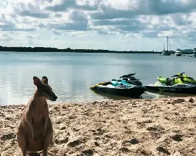 澳洲黃金海岸水上活動推介：Odyssey Jet Ski Tours 探索水路與沙洲
