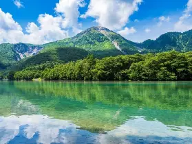 資訊圖片