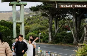 資訊圖片
