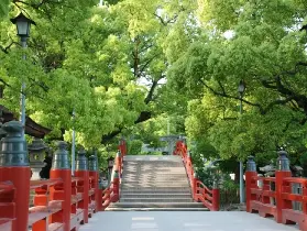 資訊圖片