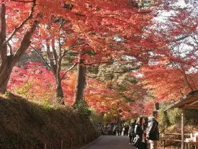 資訊圖片