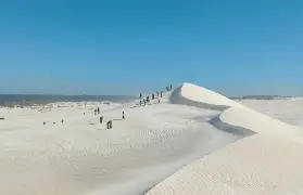 資訊圖片