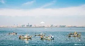 資訊圖片