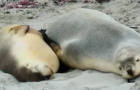 資訊圖片