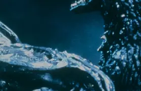 倫敦巴比肯藝術中心 Cinema 1 放映《哥斯拉2000：千禧年》英國戲院首映與票價資訊