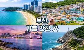 資訊圖片