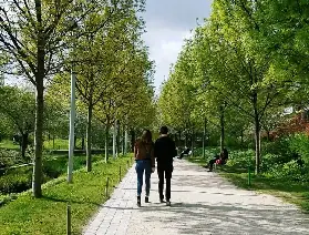探索巴黎瑪黑區隱世綠洲：遊客必訪的靜謐花園與博物館角落指南