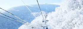 資訊圖片