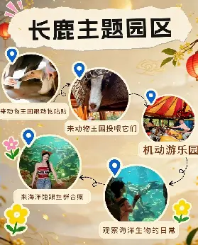 資訊圖片