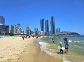 資訊圖片