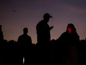 倫敦 The Regent's Park 舉辦夜間生態導賞活動帶領參加者尋找蝙蝠與真菌
