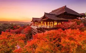 資訊圖片