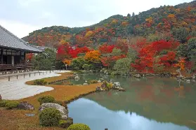 資訊圖片