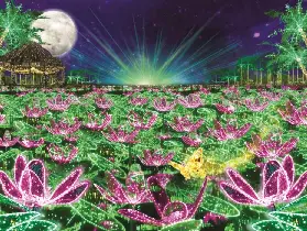 資訊圖片