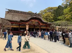 資訊圖片