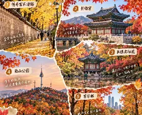 資訊圖片