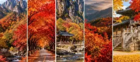 資訊圖片