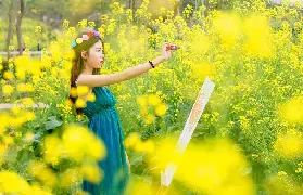 資訊圖片