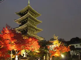 資訊圖片