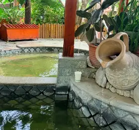 資訊圖片