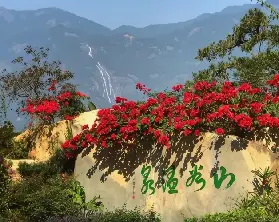 資訊圖片