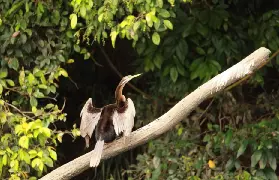 資訊圖片