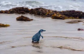 資訊圖片