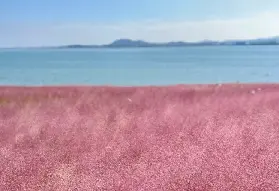 資訊圖片