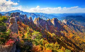 資訊圖片