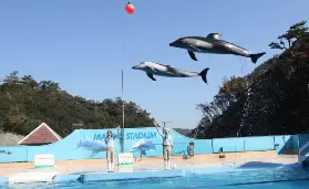 資訊圖片