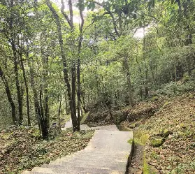 資訊圖片