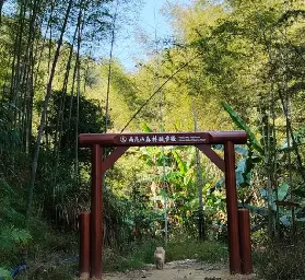 資訊圖片