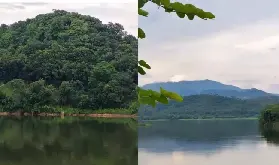 資訊圖片