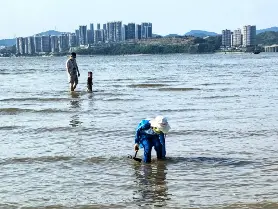 資訊圖片