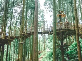 資訊圖片