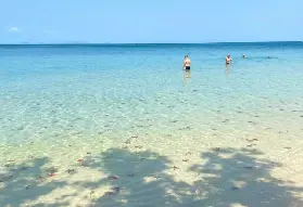 資訊圖片