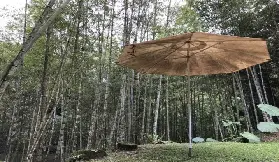 資訊圖片