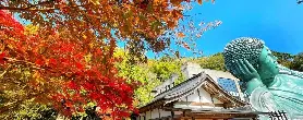 資訊圖片