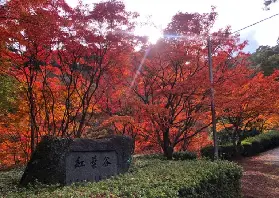 資訊圖片