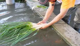 資訊圖片