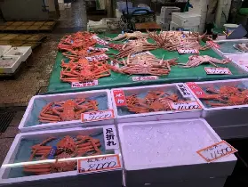 資訊圖片