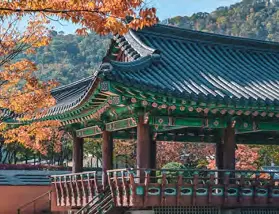 資訊圖片