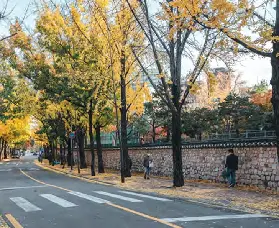資訊圖片