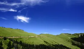 資訊圖片